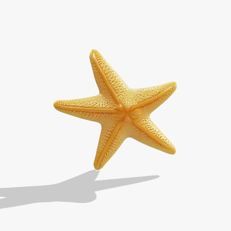 Starfish Natural Color Detailed Shape model pack